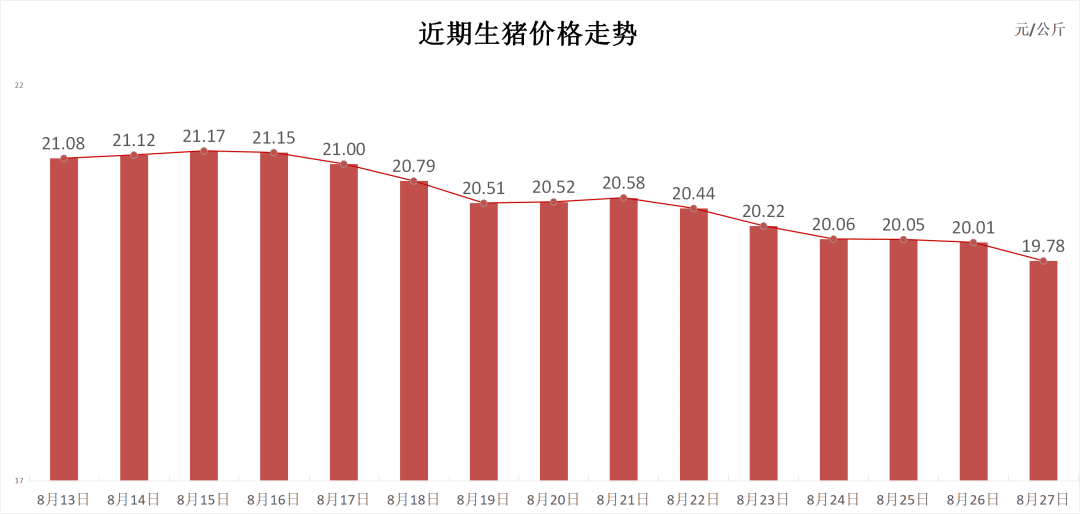 每日猪讯8.27  第3张