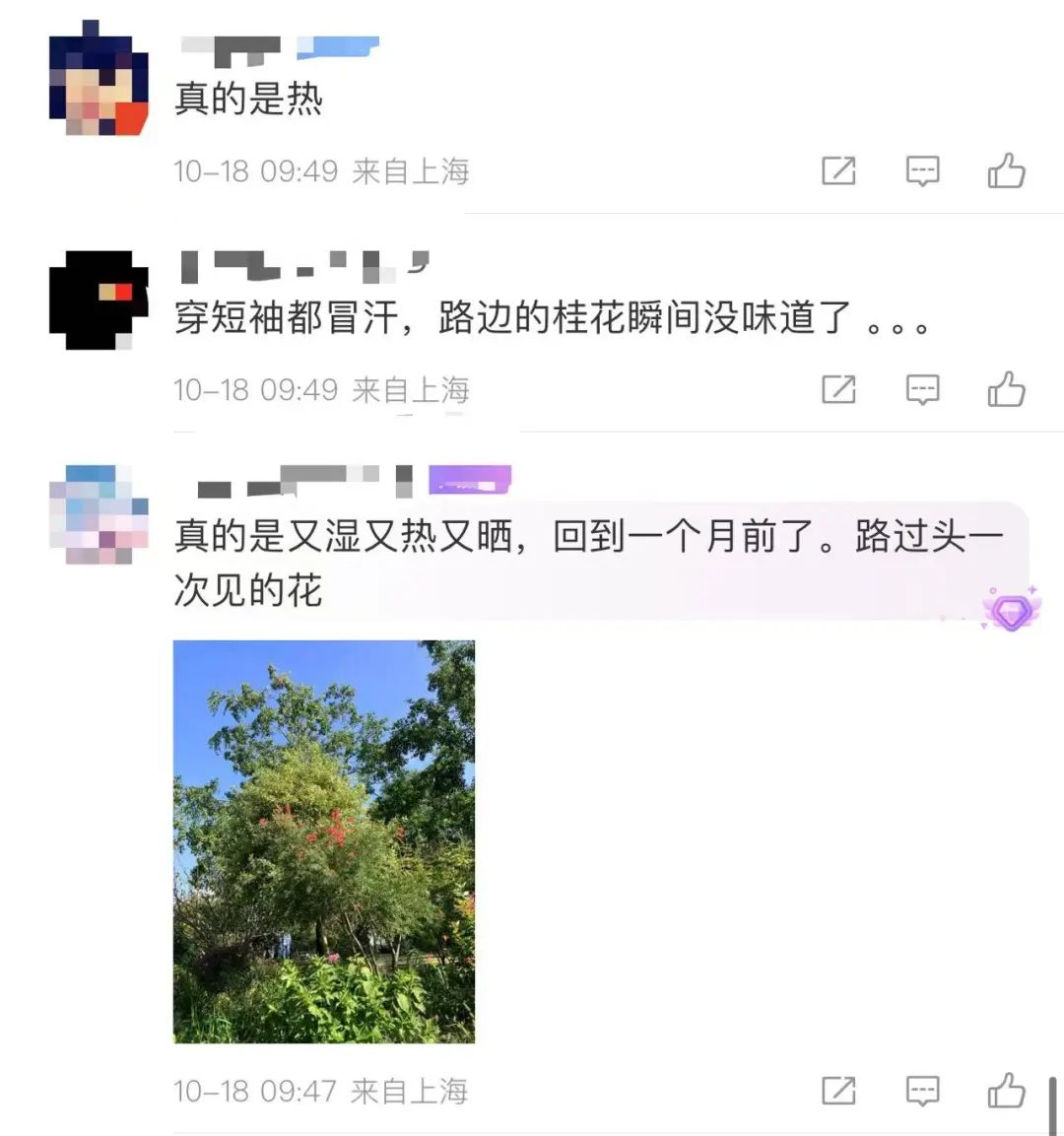 破纪录！断崖式下跌来了！上海人做好准备，这波真的猛…  第5张